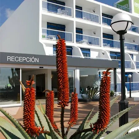 Ereza Los Hibiscos Apartment *